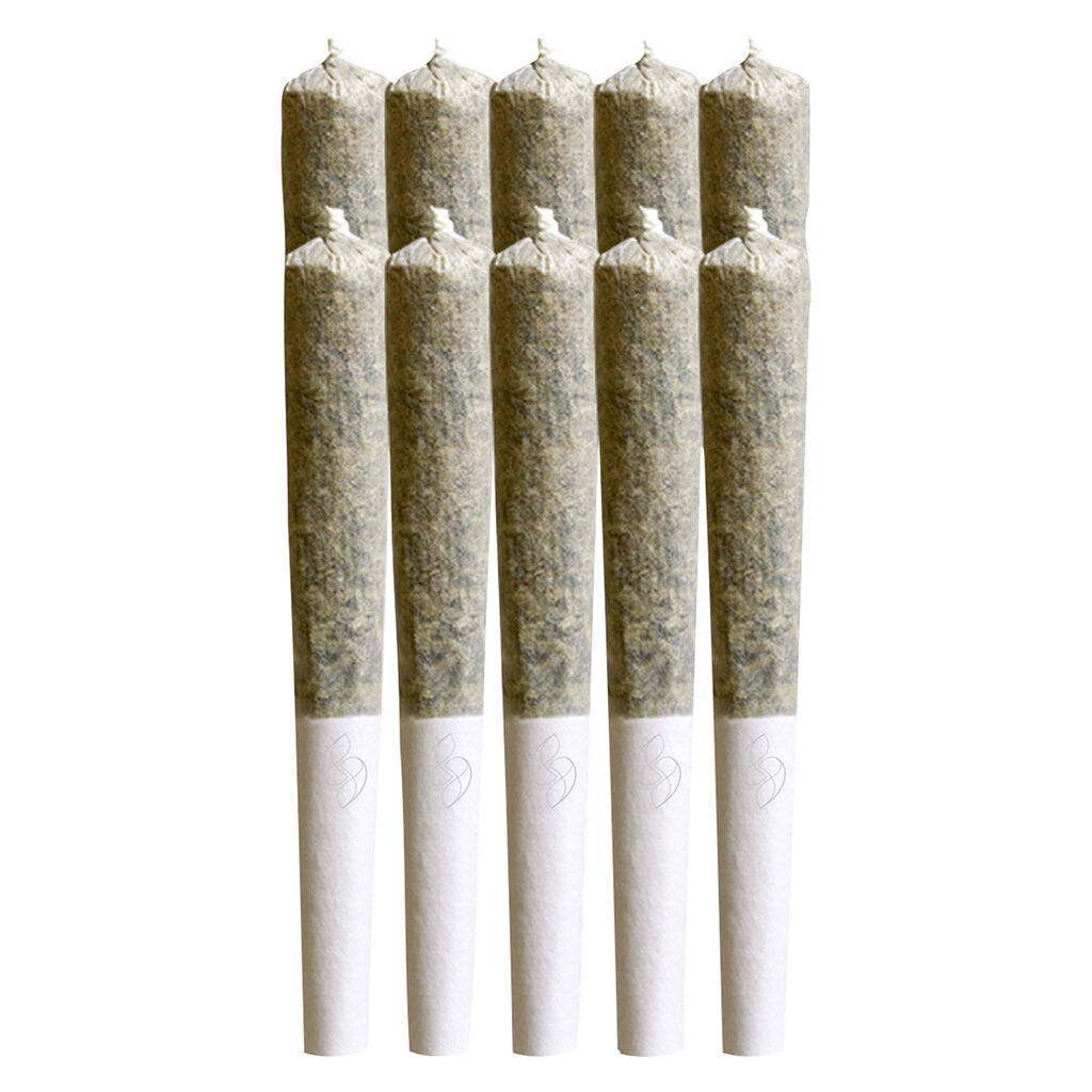 Product image Stoned - Florida Sunrise Pre-Roll - 10x0.35g ((Green Crack x Triangle Kush BX1)) 1
