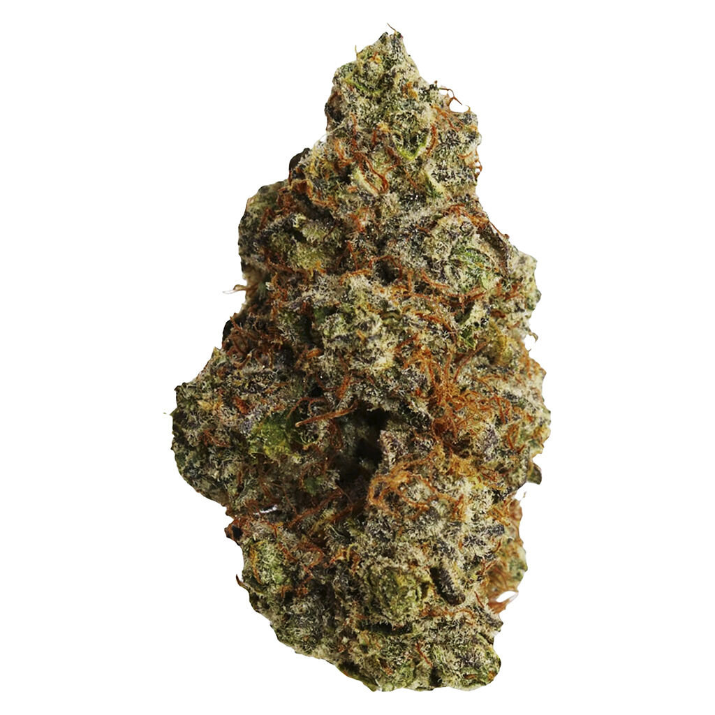 FLHIGH - Johnny Cage