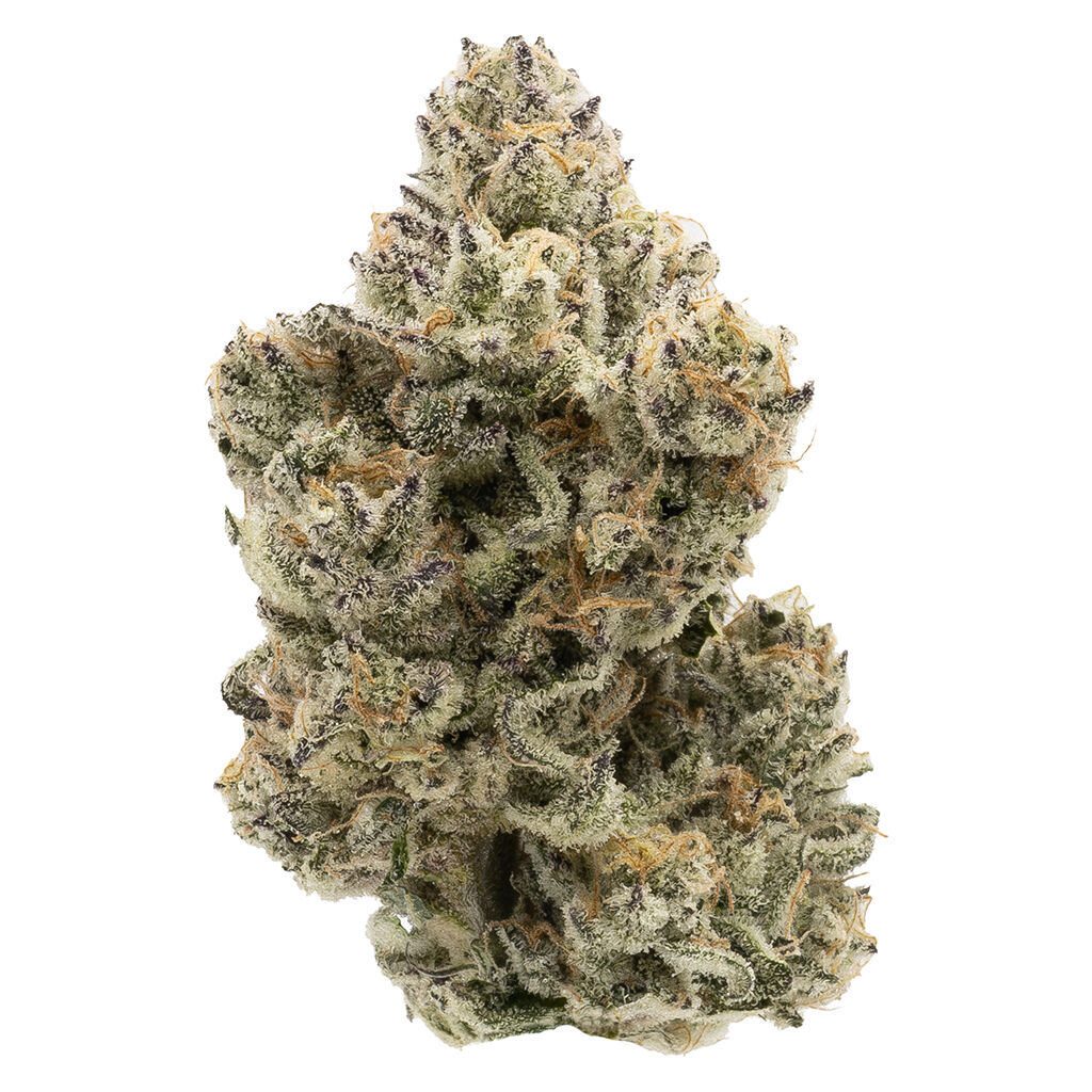 Northern Canna - The Collective Oz