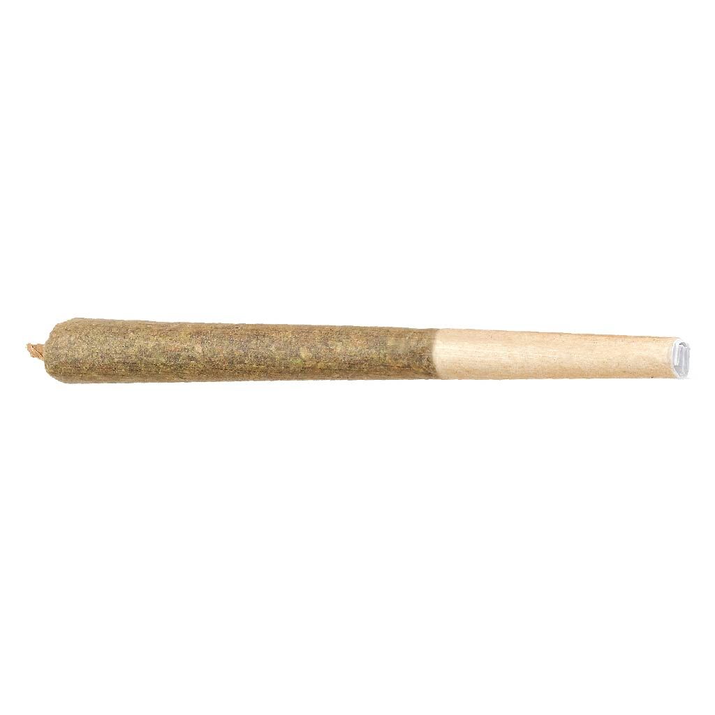 Product image Bud Lafleur - Moby Dick (Haze x White Widow) Pre-Roll - 1x1g 1