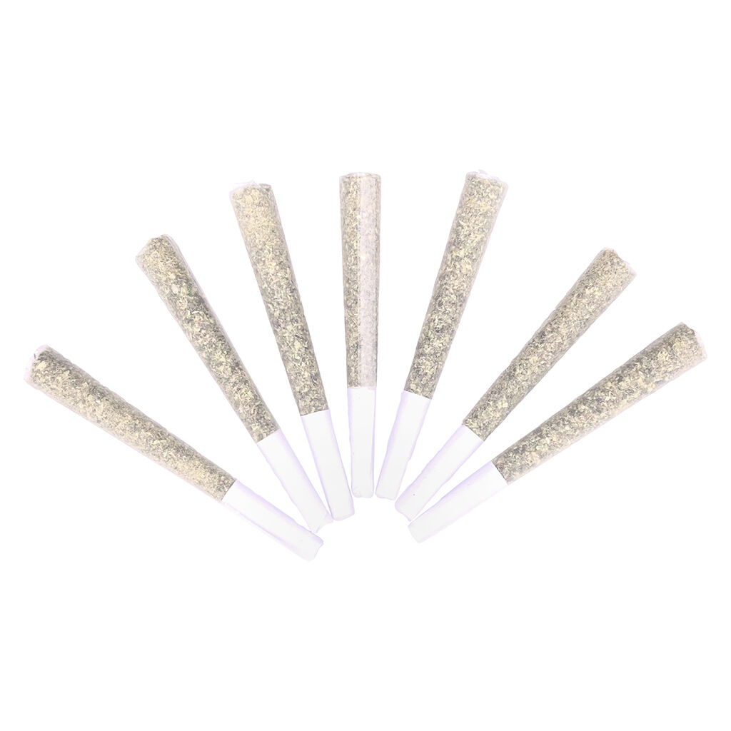FLHIGH - Johnny Cage Aces Pre-Roll