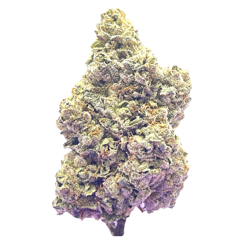 HighXotic - Royal Dive #7: Scarface OG