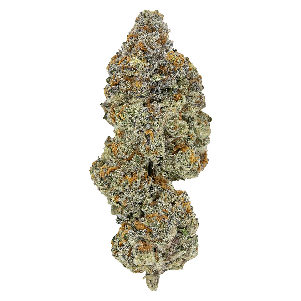 Pistol and Paris - LSO Collection: Blueberry Vendetta